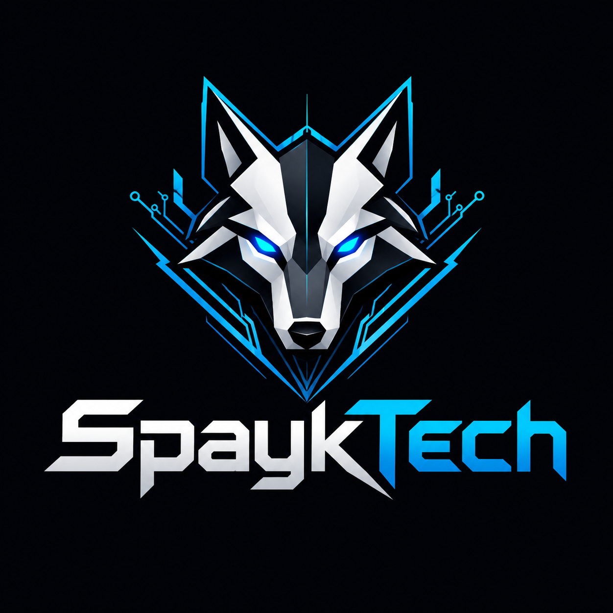 SpaykTech